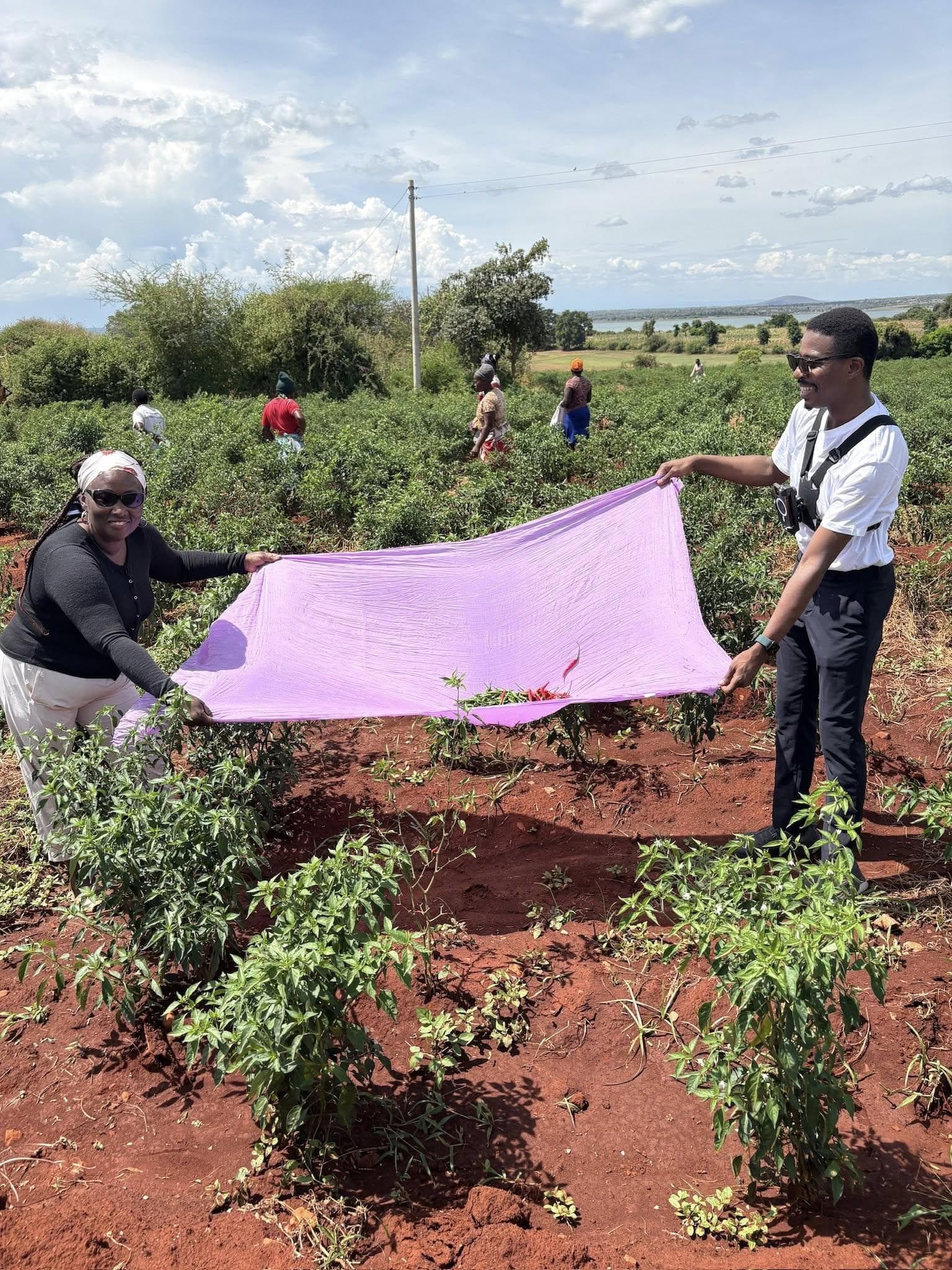 Filière viticole – Québec