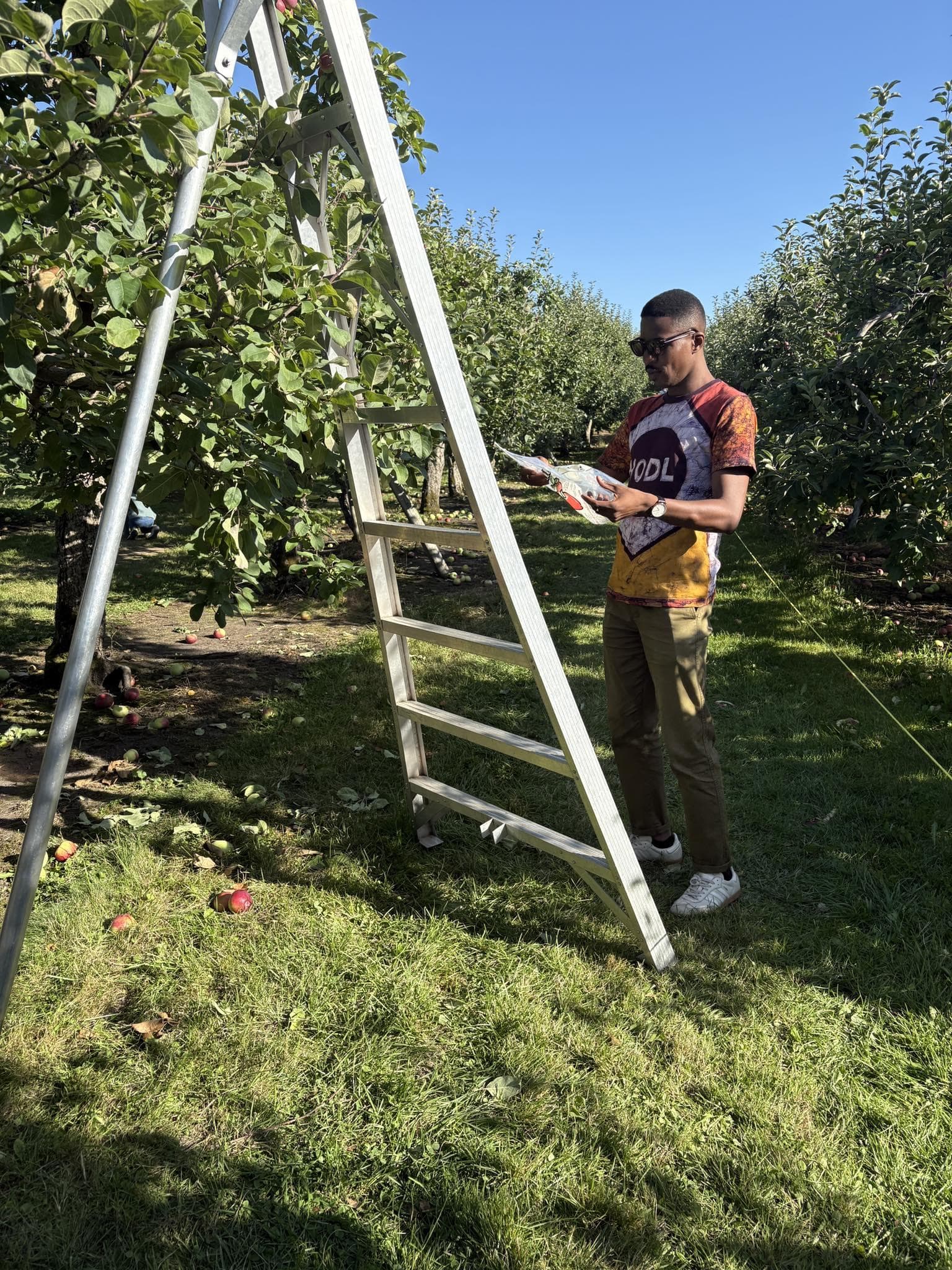 Filière pomicole – Québec